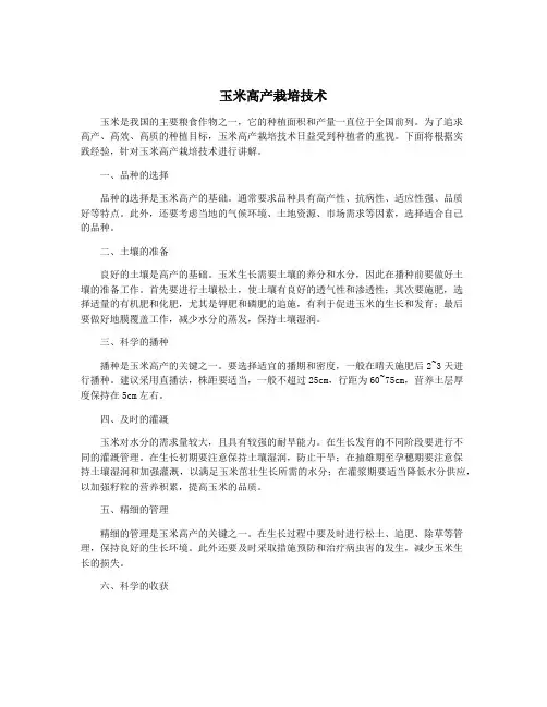 玉米高产栽培技术