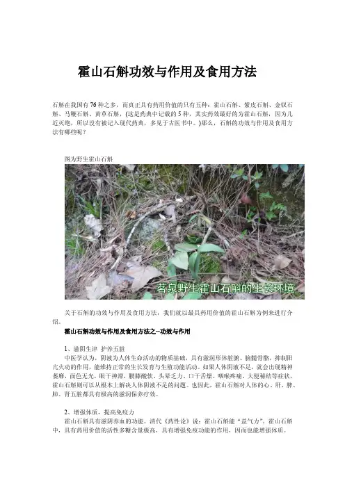 霍山石斛的功效与作用及食用方法