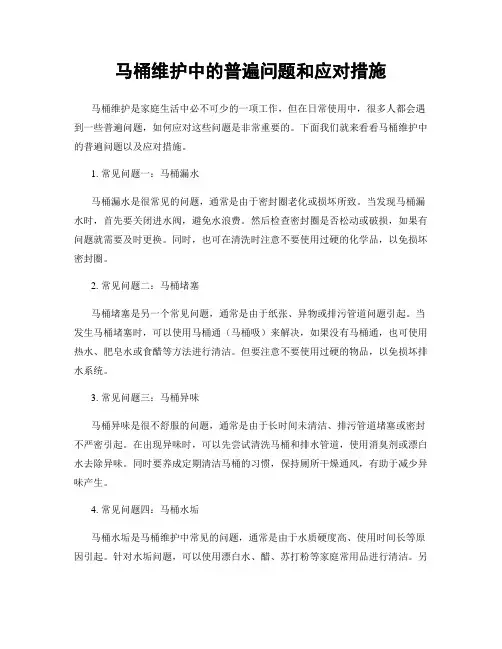 马桶维护中的普遍问题和应对措施