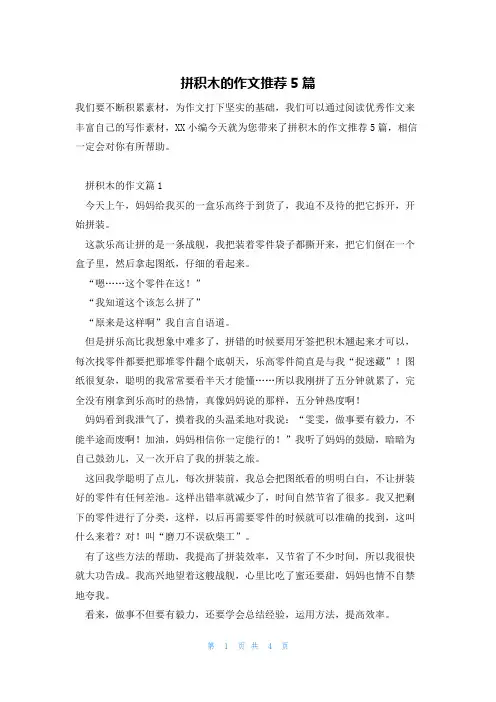 拼积木的作文推荐5篇