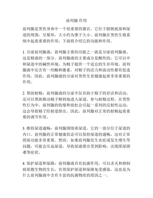 前列腺 作用