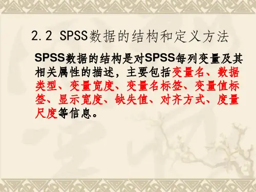 spss数据的结构和定义方法