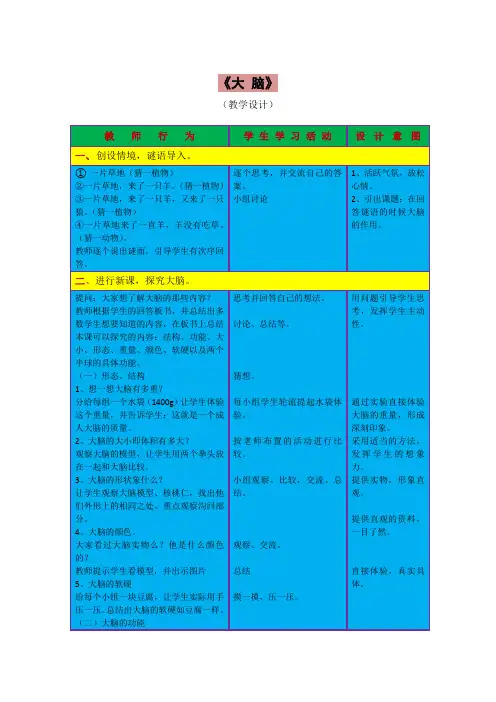 《大脑》教学设计