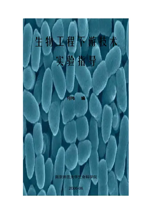 生物工程下游技术实验指导