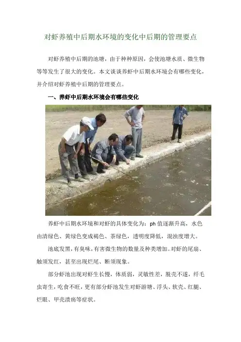 对虾养殖中后期水环境的变化 中后期的管理要点