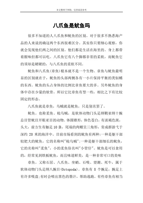 八爪鱼是鱿鱼吗
