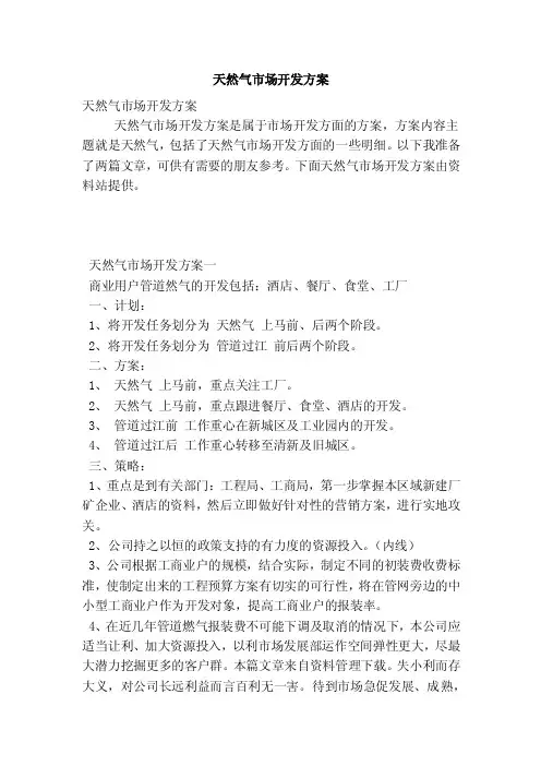 天然气市场开发方案（最新版）