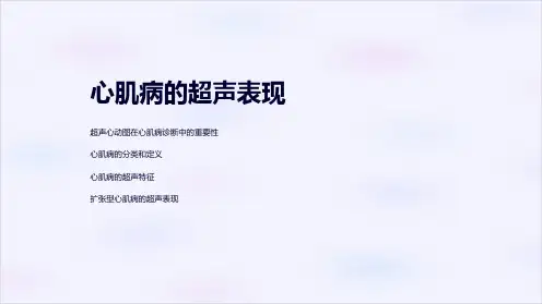 心肌病的超声表现