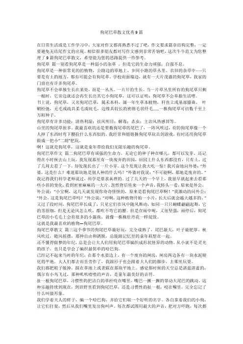 2023最新-狗尾巴草散文优秀9篇