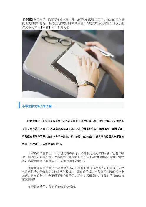 小学生作文冬天来了【六篇】