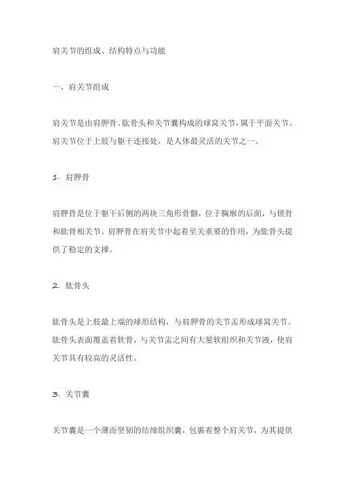 描述肩关节的组成,结构特点与功能