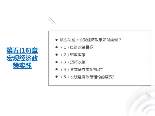 宏观经济政策实践第16章