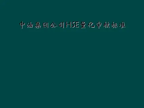 中油集团公司HSE量化审核标准