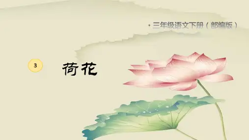 部编版三年级语文下册3荷花(课件)(共21张ppt)