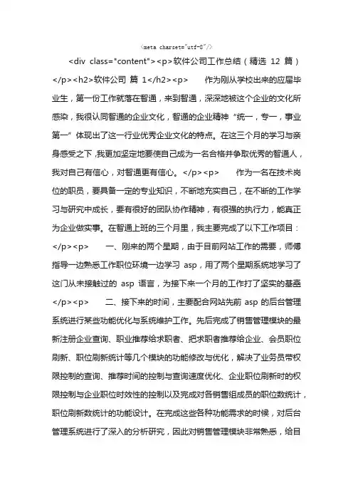 软件公司工作总结（精选12篇）