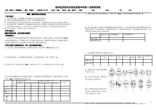 减数分裂学案