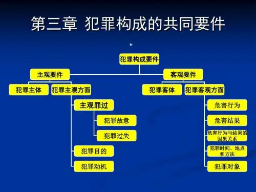 第3章 犯罪构成的共同要件