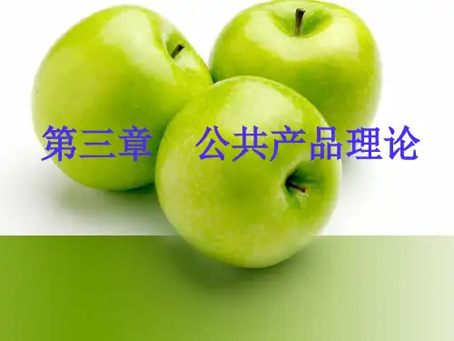 第3章公共产品理论