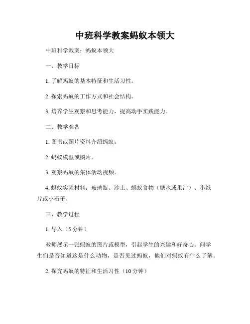 中班科学教案蚂蚁本领大