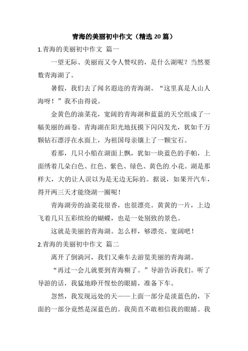 青海的美丽初中作文(精选20篇)