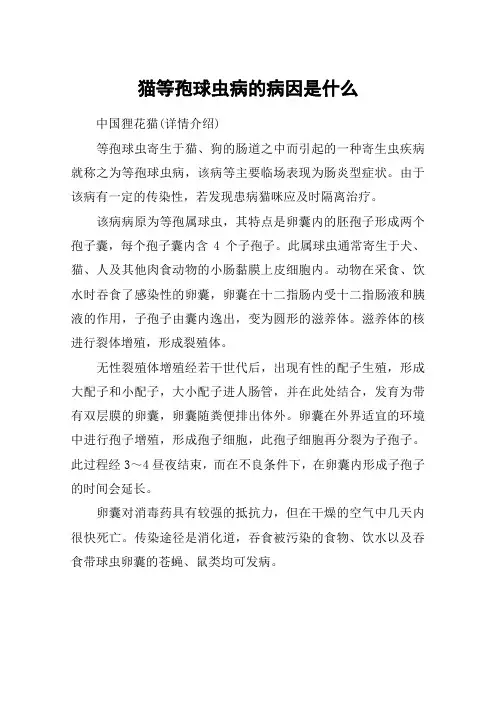 猫等孢球虫病的病因是什么