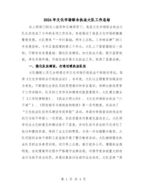 2024年文化市场综合执法大队工作总结（二篇）