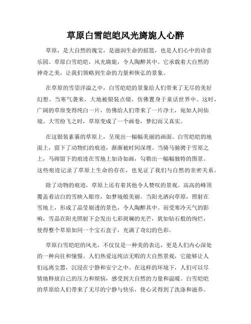 草原白雪皑皑风光旖旎人心醉