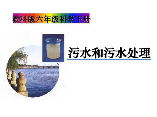 《污水和污水处理》环境和我们PPT(上课用)