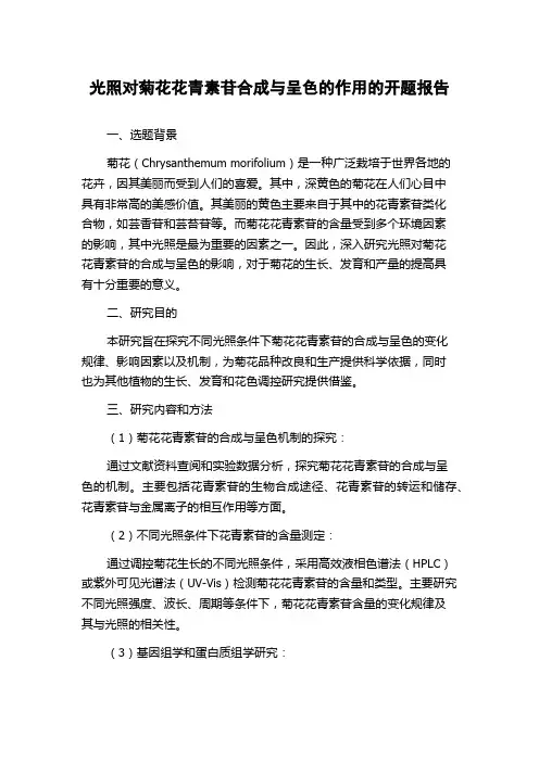 光照对菊花花青素苷合成与呈色的作用的开题报告