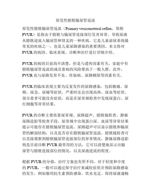 原发性膀胱输尿管返流