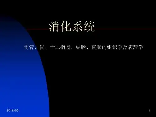 消化系统PPT课件