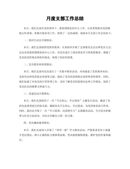 月度支部工作总结