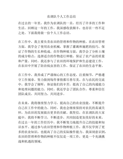 农调队个人工作总结
