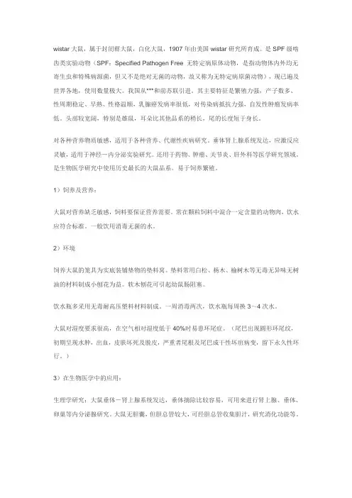 WISTAR大鼠的最适饲养环境