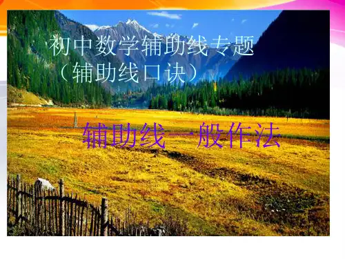 辅助线一般作法 PPT课件 人教版
