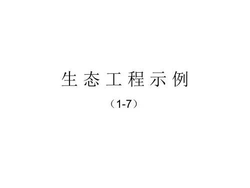 生 态 工 程 示 例
