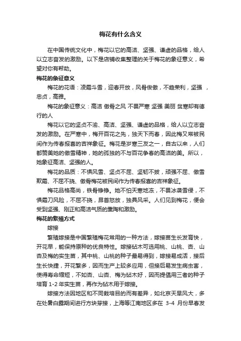 梅花有什么含义