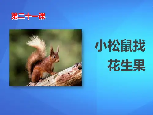 《小松鼠找花生果》PPT【优课件推荐】