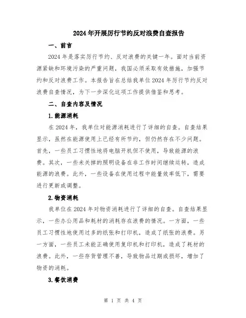 2024年开展厉行节约反对浪费自查报告