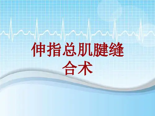 手术讲解模板：伸指总肌腱缝合术
