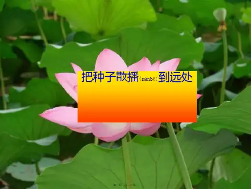 四年级科学下册 2的生命 4《把种子散播到远处》课件1教科小学四年级下册自然科学课件