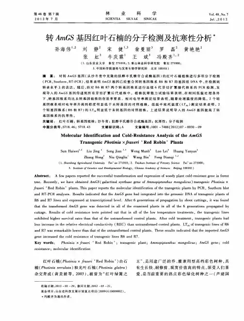 转AmGS基因红叶石楠的分子检测及抗寒性分析