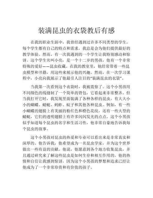 装满昆虫的衣袋教后有感