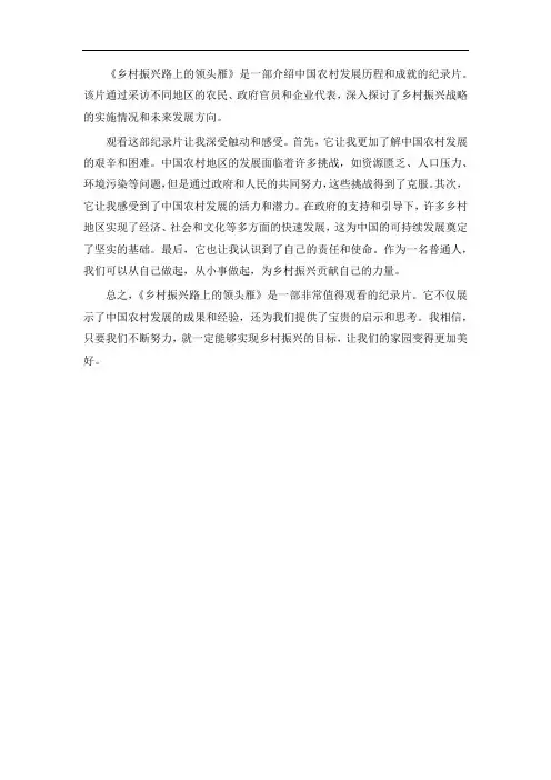 乡村振兴路上的领头雁观后感