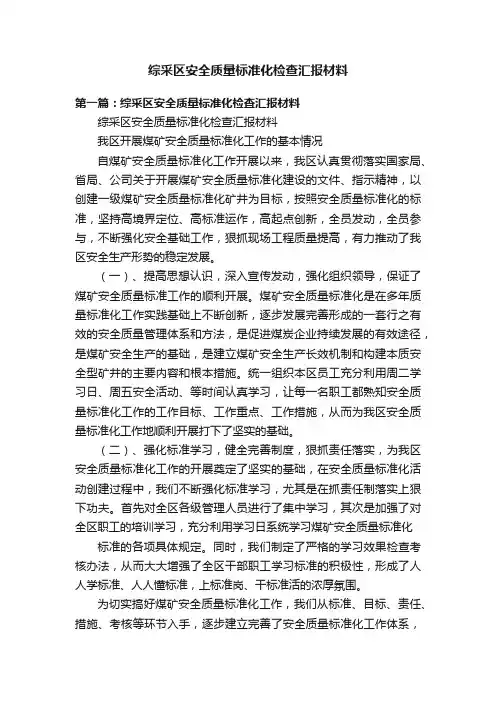 综采区安全质量标准化检查汇报材料