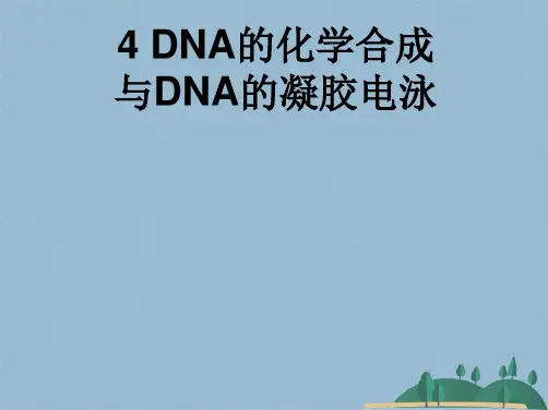 DNA重组(共26张PPT)