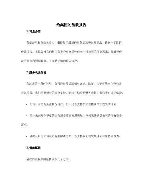 给集团的借款报告