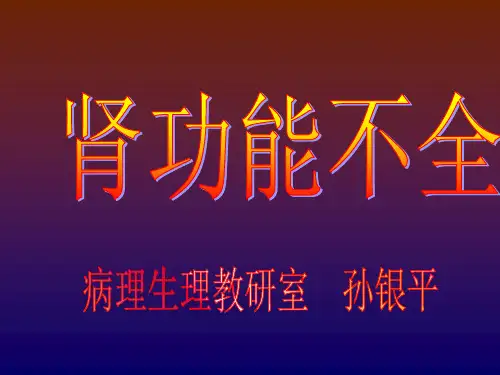 病生第十三讲肾功能不全
