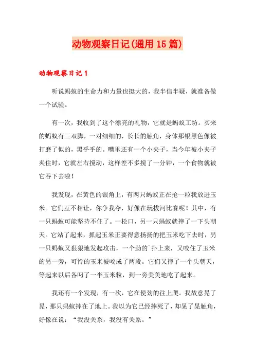 动物观察日记(通用15篇)