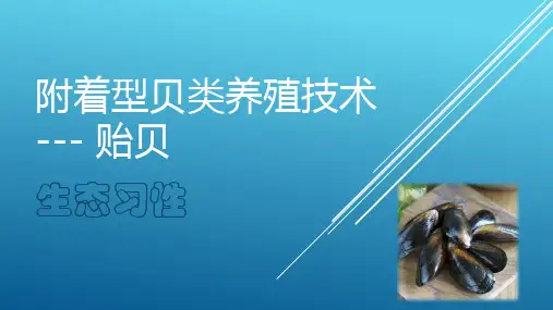 贻贝生物学特性.pptx